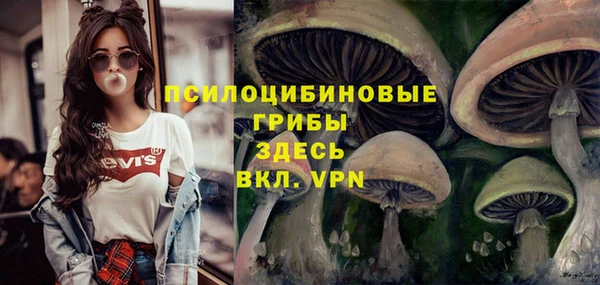 прущий лед Бородино