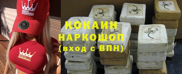 прущий лед Бородино